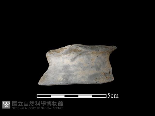 陶罐藏品圖，第1張