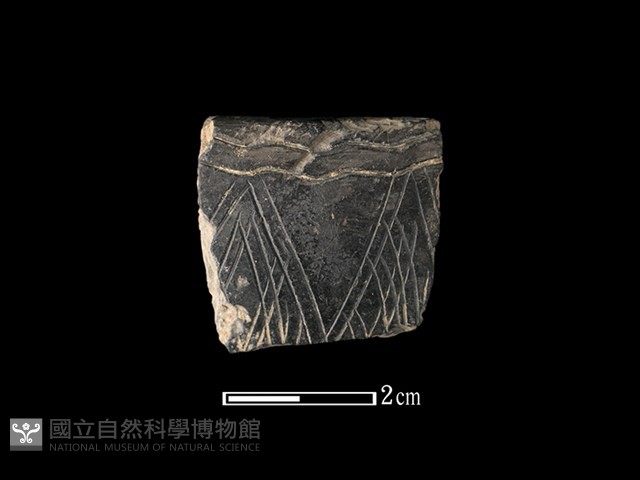 陶缽藏品圖，第1張