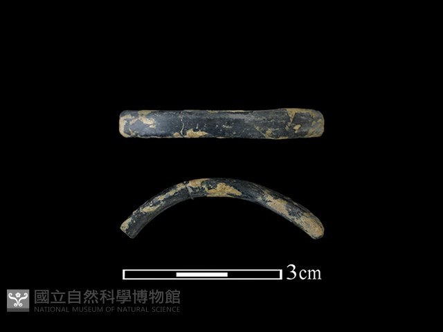 陶環藏品圖，第1張