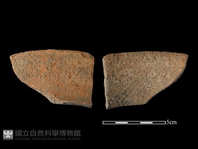 陶片藏品圖，第1張