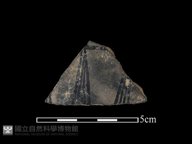陶片藏品圖，第1張