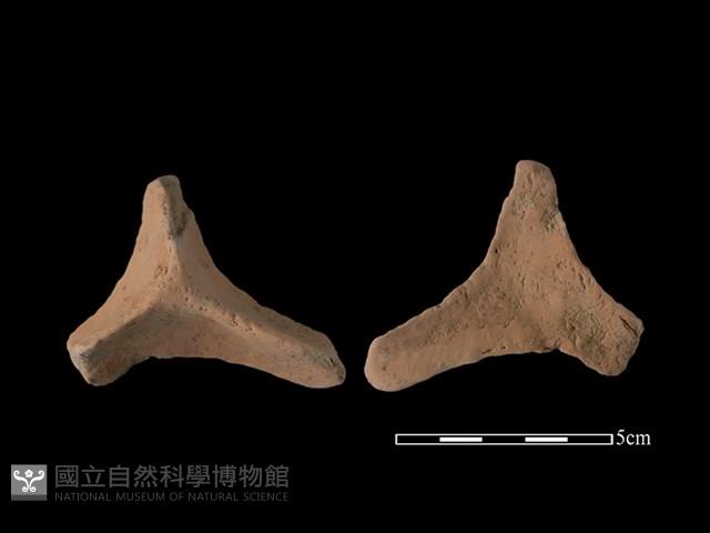 連杯形器藏品圖，第1張