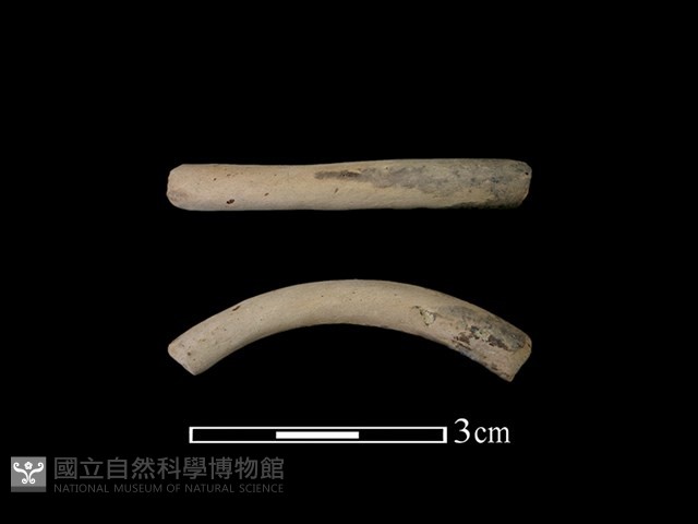 陶環藏品圖，第1張