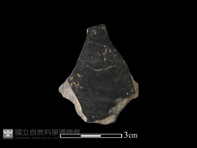 陶片藏品圖，第1張