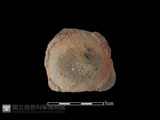 陶片藏品圖，第1張