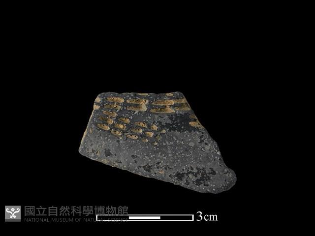 陶片藏品圖，第1張