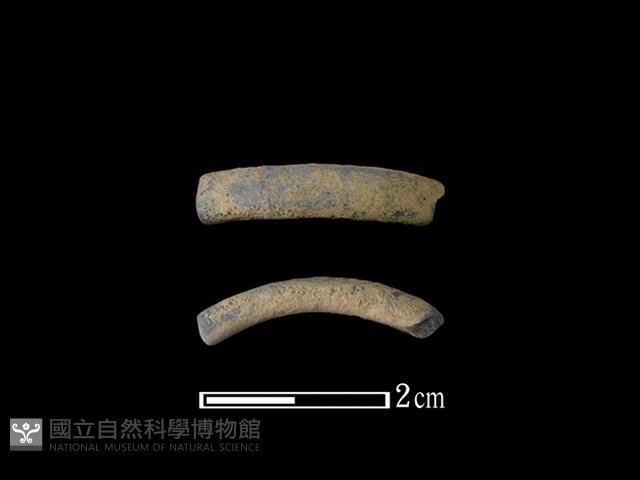 陶環藏品圖，第1張