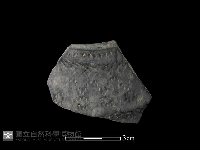 陶片藏品圖，第1張