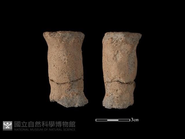 陶把藏品圖，第1張