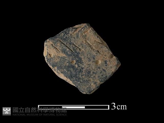 陶片藏品圖，第1張