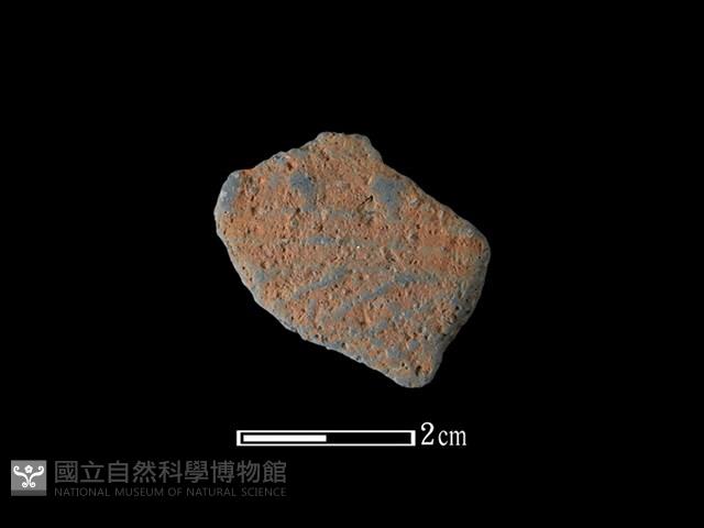 陶片藏品圖，第1張