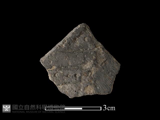 陶片藏品圖，第1張