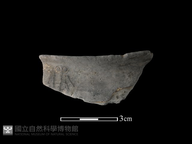 陶缽藏品圖，第1張