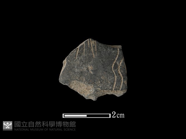 陶片藏品圖，第1張