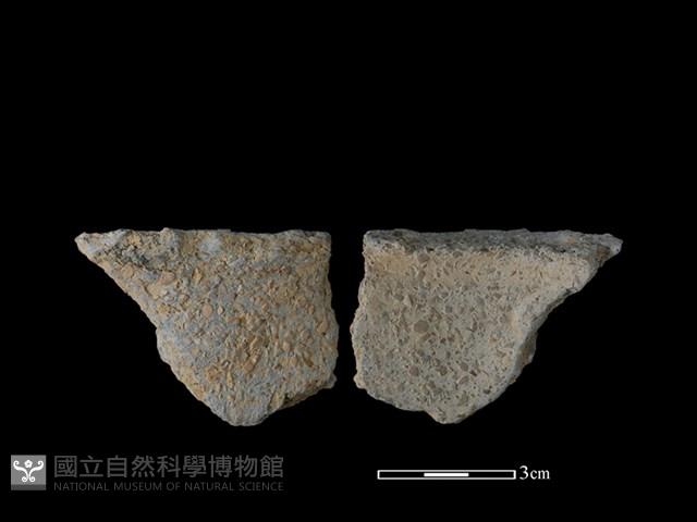 陶片藏品圖，第1張