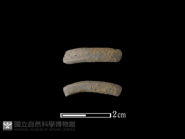 陶環藏品圖，第1張