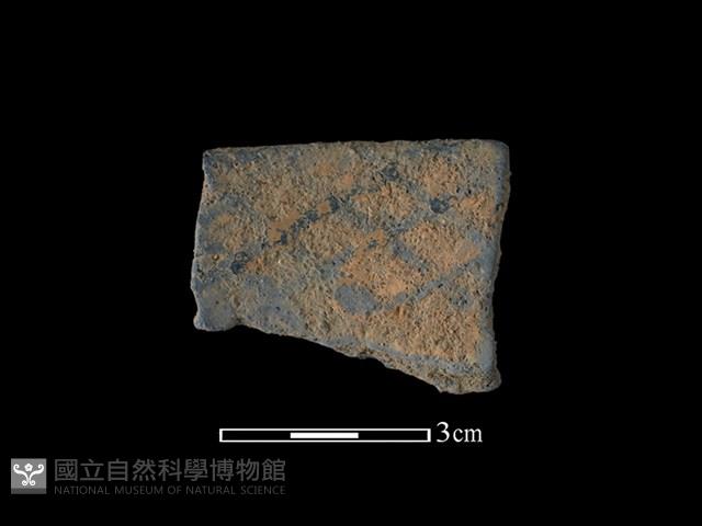 陶片藏品圖，第1張