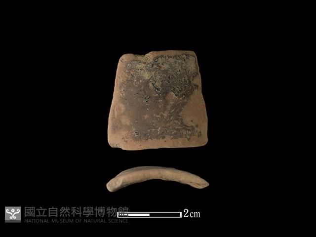 陶環藏品圖，第1張