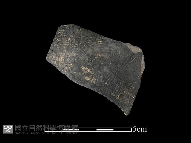 陶片藏品圖，第1張