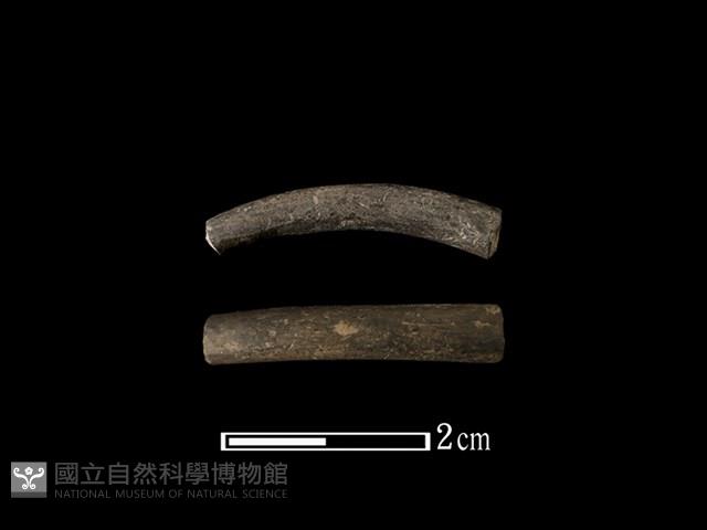 陶環藏品圖，第1張