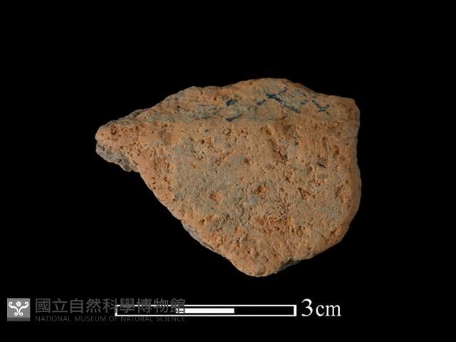 陶片藏品圖，第1張