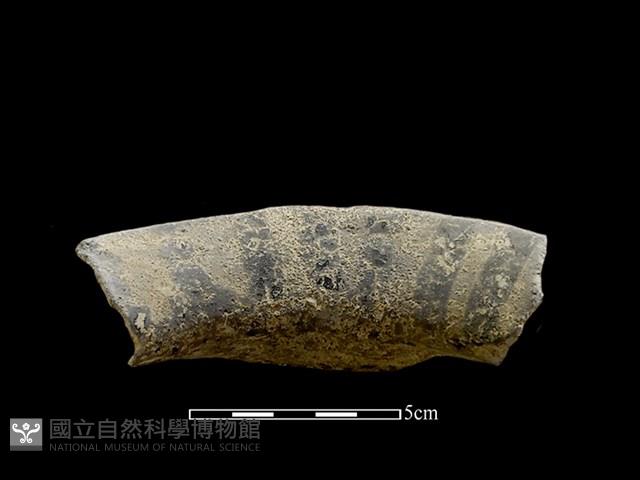 陶把藏品圖，第1張