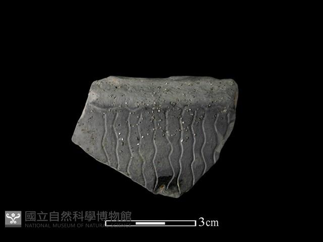 陶缽藏品圖，第1張