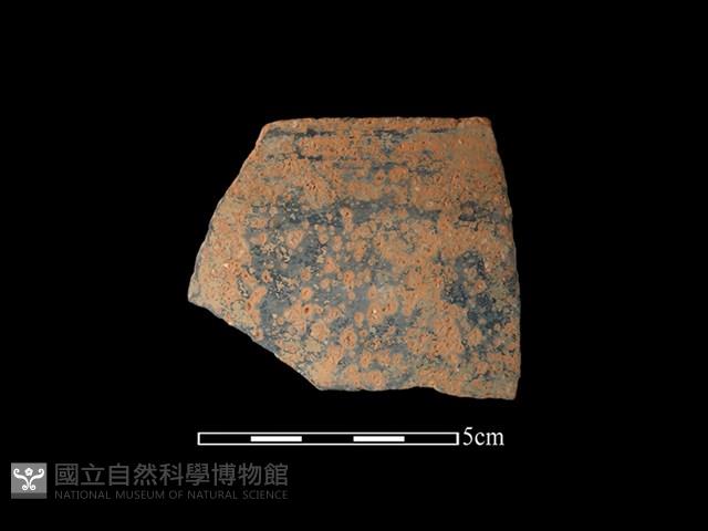 陶缽藏品圖，第1張