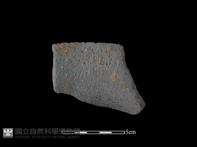 陶罐藏品圖，第3張