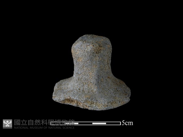 陶蓋鈕藏品圖，第2張