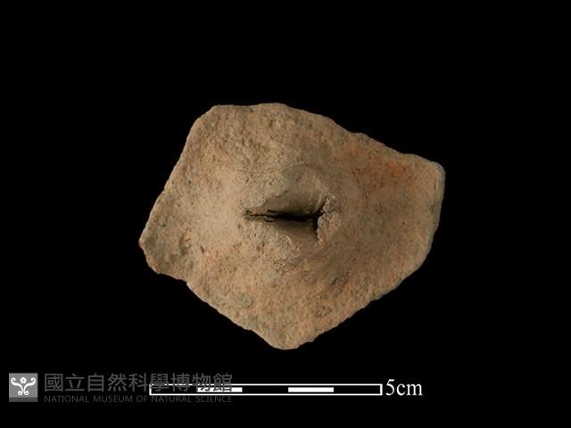 陶蓋藏品圖，第2張