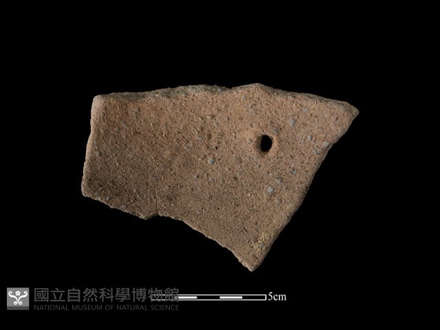 陶片藏品圖，第2張