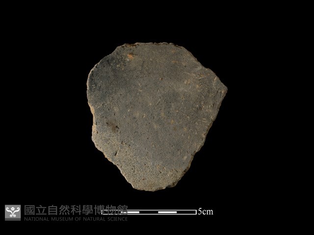 陶片藏品圖，第2張