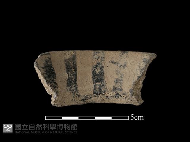 陶片藏品圖，第2張