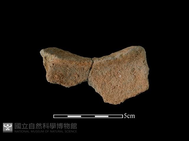 陶片藏品圖，第2張