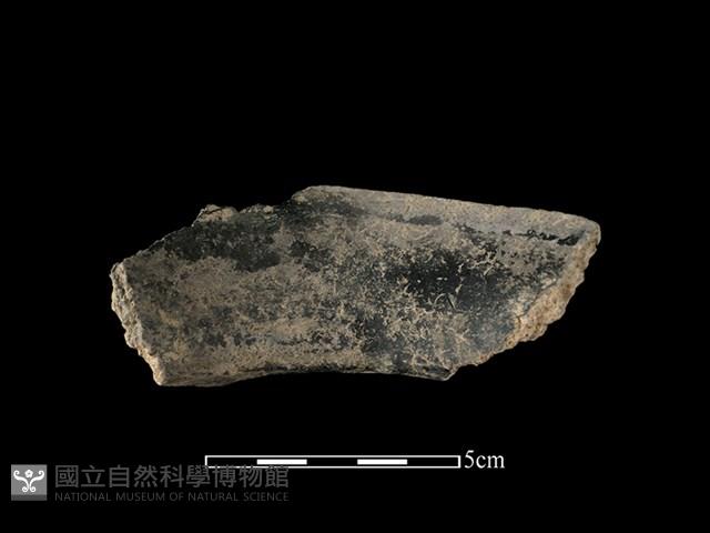 陶片藏品圖，第2張