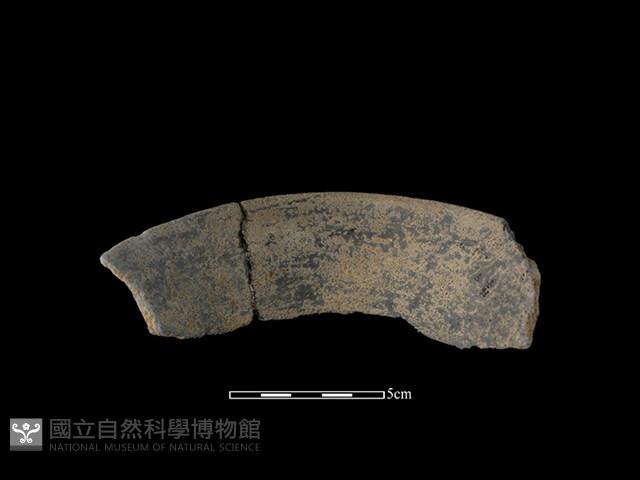 陶罐藏品圖，第2張