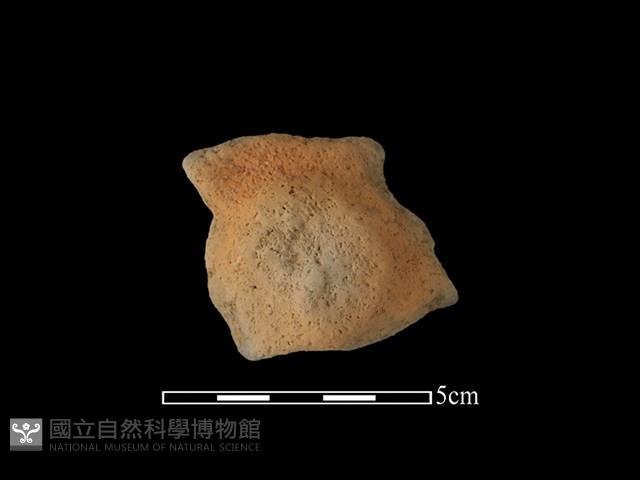 陶蓋鈕藏品圖，第2張