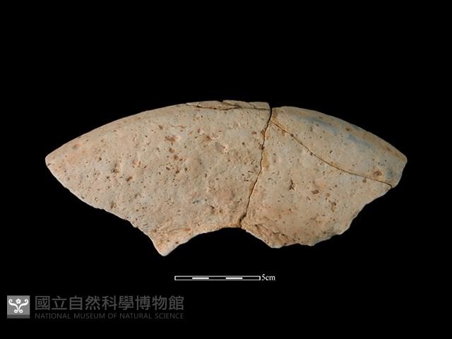 連杯形器藏品圖，第2張