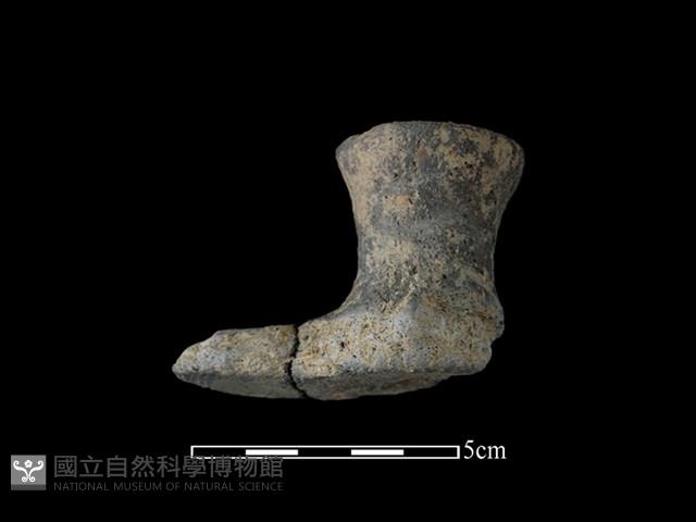 陶蓋鈕藏品圖，第2張