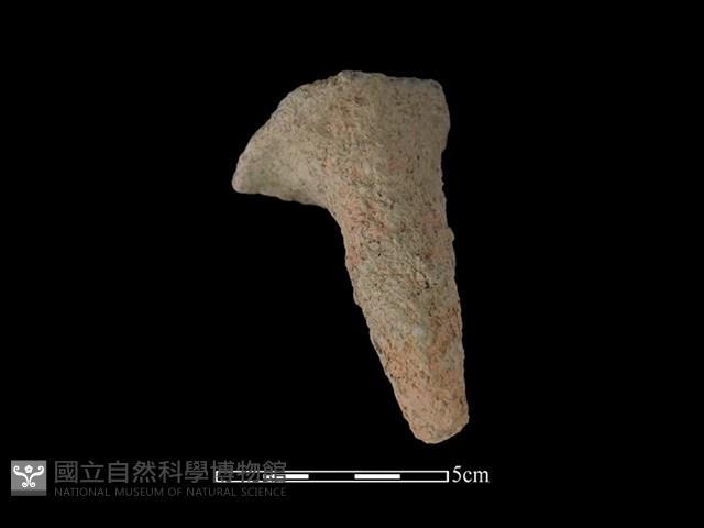 鼎足藏品圖，第2張