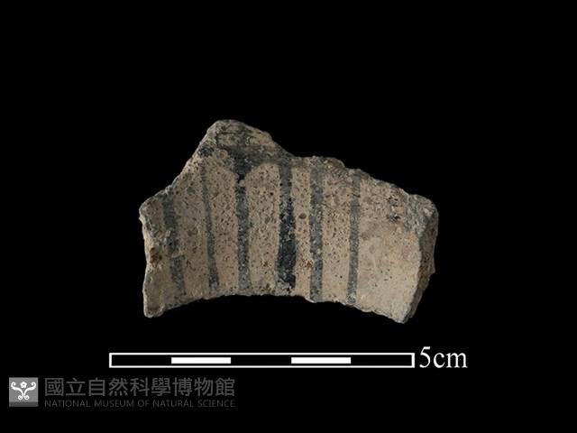 陶片藏品圖，第2張