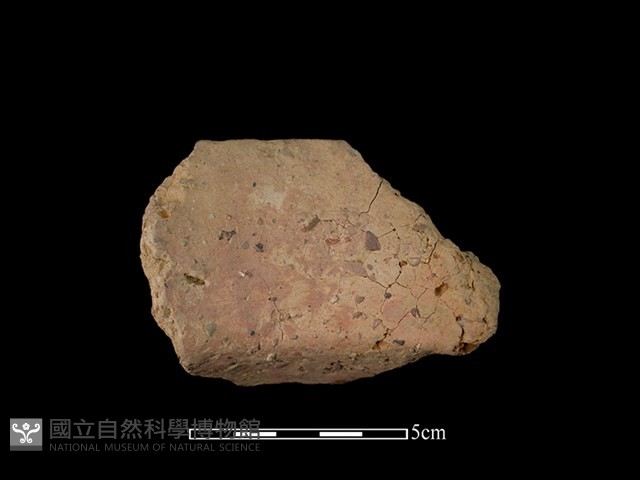 陶罐藏品圖，第2張