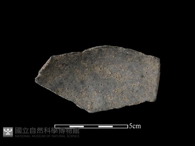 陶片藏品圖，第2張