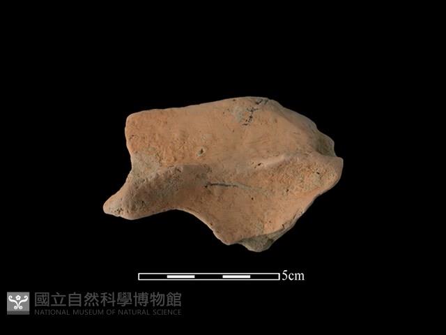 連杯形器藏品圖，第2張