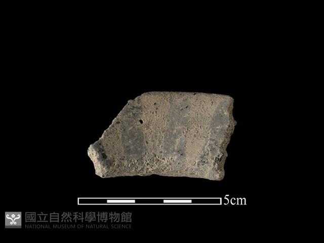 陶片藏品圖，第2張