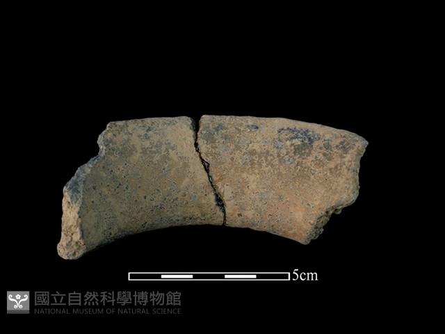 陶罐藏品圖，第2張