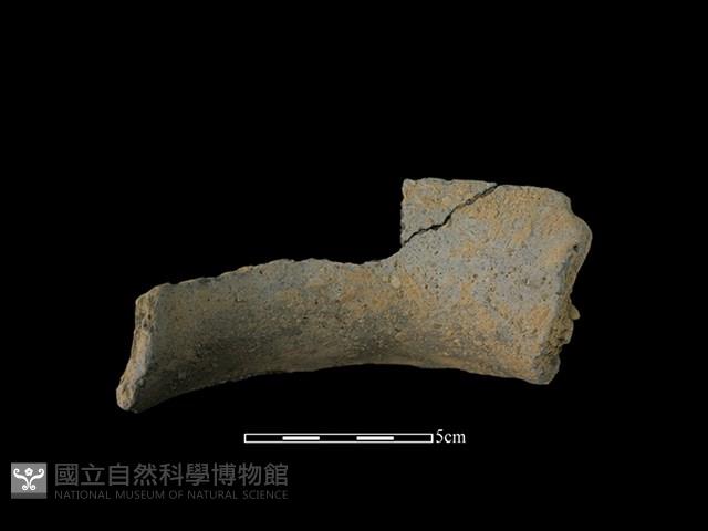 陶罐藏品圖，第2張