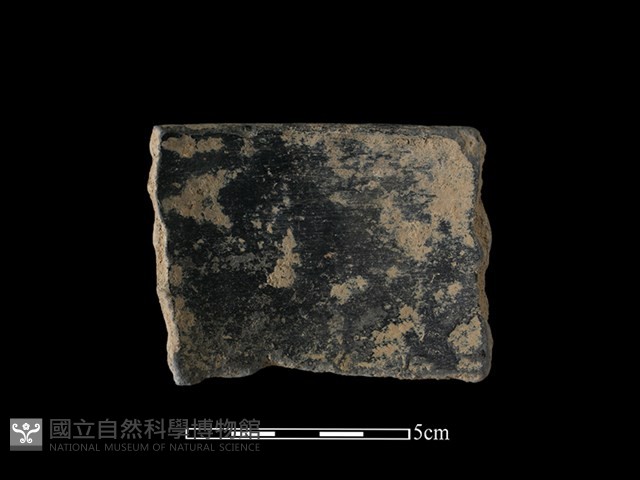 陶片藏品圖，第2張