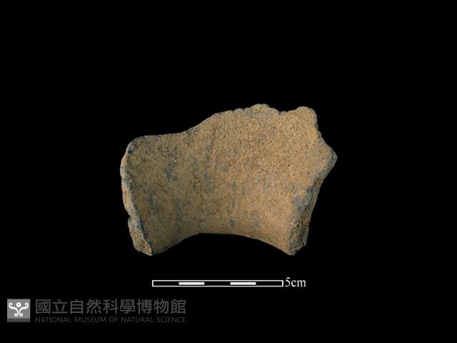 陶罐藏品圖，第2張